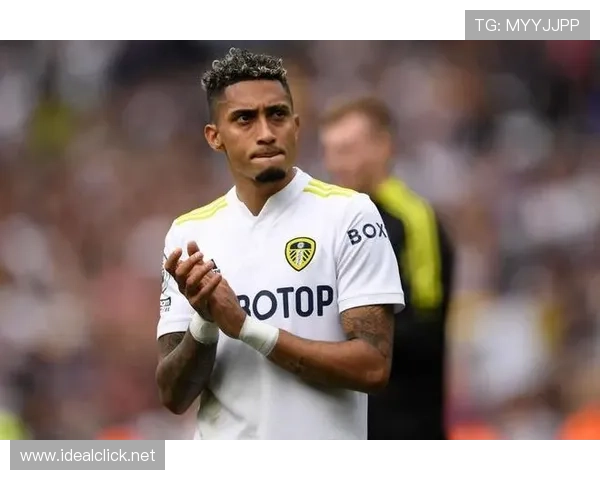 拉菲尼亚:登陆葡超完成欧洲生涯起点 拉菲尼亚:登陆葡超完成欧洲生涯起点